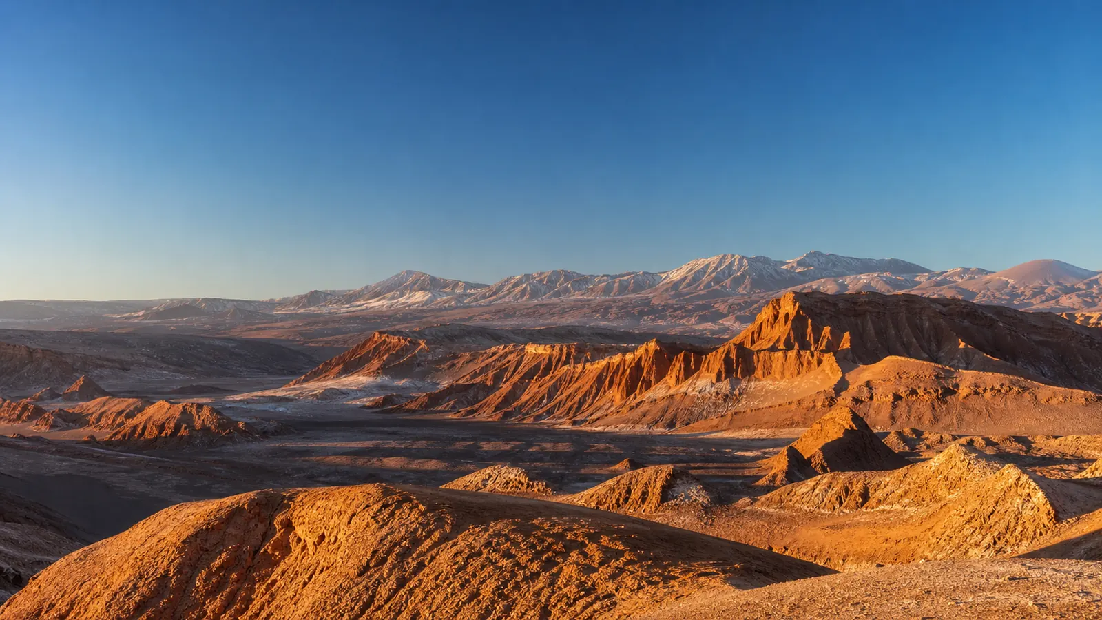 Traveler checking marked route map before entering Valle de la Luna at sunrise